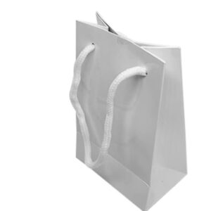 Paper gift bag ( Big )